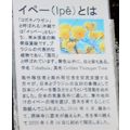 ≪今年、イペーの花は咲きませんでした≫　仙台の洞林寺吉田俊英住職のBLOGより転載させて頂きます。