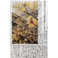 ≪花談義６４９≫　イペの花の神戸と加古川の神戸新聞記事　出石さんと久留米のはなさんより